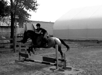 Saut avec un poney que j'adore! (L) désoler pour la mauvaise...