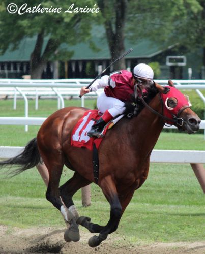 Mysticism & Javier Castellano dans la dernière ligne droite 