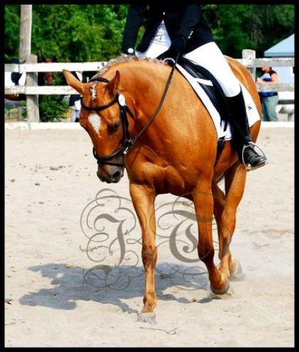 Mon petit lingot d'or <3 Mirage, cémi 24 aout 2011. Photo prise...