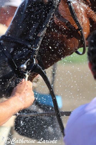 Le gagnant qui prend une bonne douche après sa course.