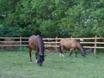 photo par shelby84