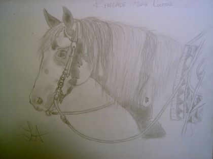 Dessin que j'ai fait de Renegade Flame Cocktail, un paint horse...