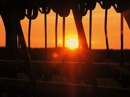 coucher de soleil pris au travers du rateleur