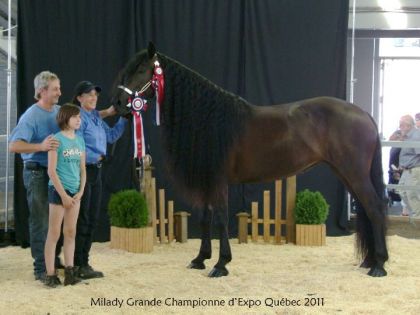 Du Hameau Gino Phèdre (Milady) Grande Championne d'Expo Québec...