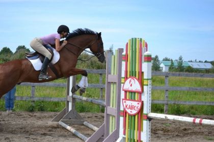 photo par Bailey's Mon cheval et une amie à l'obstacle. Premier cours de saut...