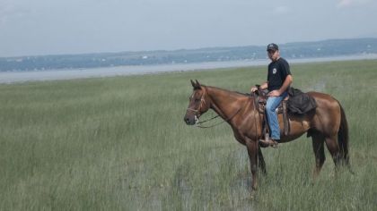 Encore mon Lucky Luke dans le fleuve &agrave; la mar&eacute;e tr&egrave;s basse!