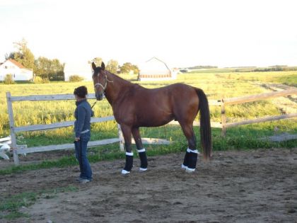 Mon homme en haut de ces 15 mains 3 :) Premier pour lui et des...