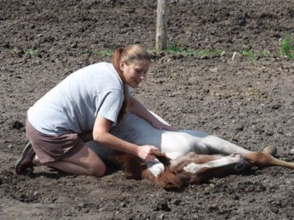 Ma mère avec Fay,  ma pouliche de 5 mois