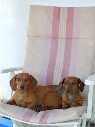 Amis pour toujours !