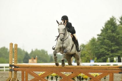 Mon petit cheval parfait (L)