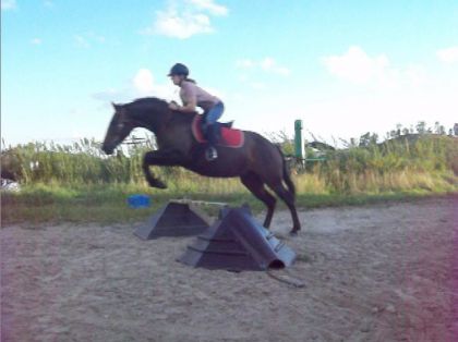 Photo peise d'un vid&eacute;o moi et FIdelle qui saute. commentaires ?