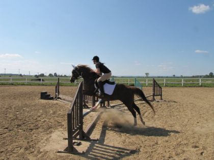 3 septembre 2011