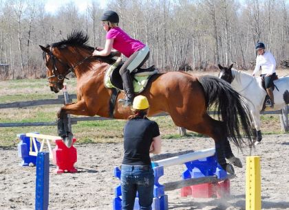 Saut Bob Clinique