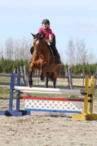 3 Pied 9 en oxer 