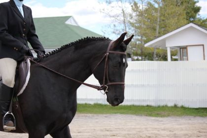 Sublime et Moi, 8 mai 2011 en concours