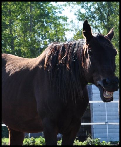 Coudonc Thunder, qu'est-ce qui te fait rire comme sa?