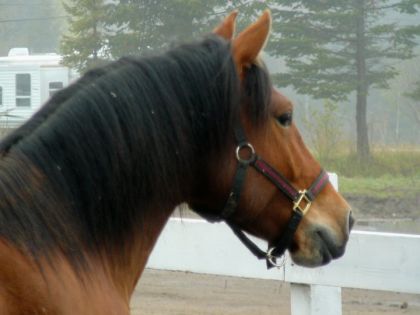 Mon beau ptit bebé mortdans un incendie le 28 juin 2011 :( ...