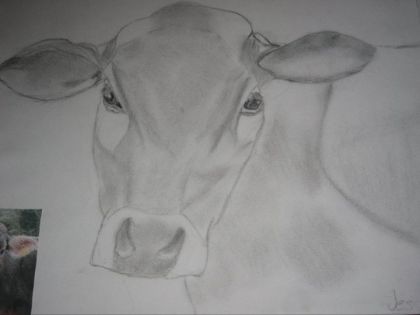 une tite vache ! :)