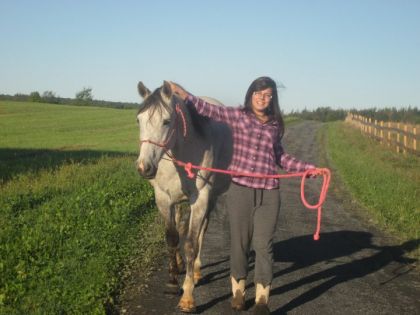 J'aime beaucouop cette photo :)Et j'aime beaucoup dapple :)
