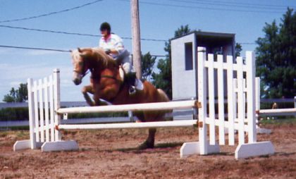 Moi à l'obstacle avec Jerry un Belge/Hafliger que j'aimais...