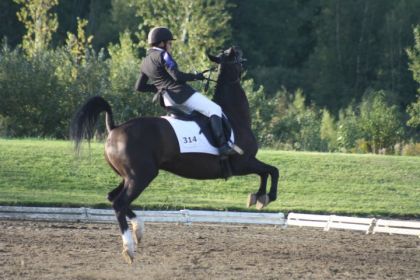 JEQ 2011 allez riez ;)