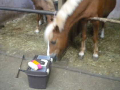 &eacute;quateur essiae de chiper un bonbon dans ma malette