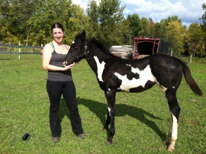 b&eacute;b&eacute; nightwish qui vient d'arriver a la maison!