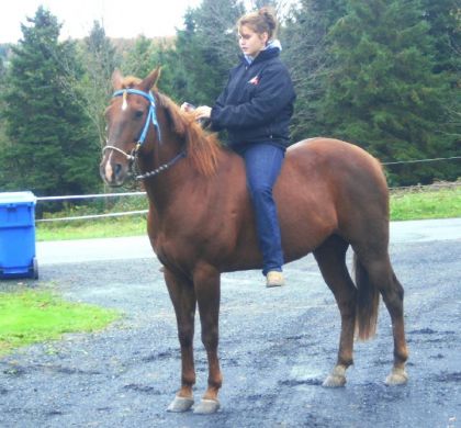 Mon gros Bronco d'amour :)