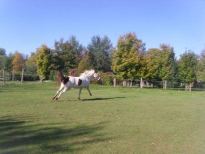 Lolita qui se défoule ! Photo prise par une amie ! 