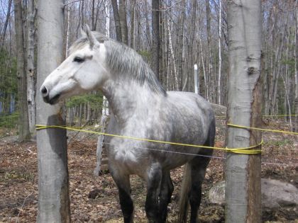 Encore Charlotte, elle devait avoir 9 ans.. ça passe vite! :C