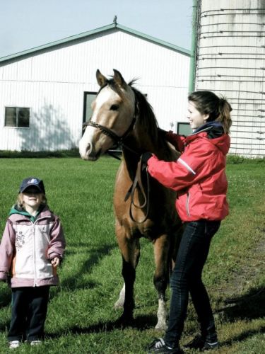 mon nouveaux poney merlerin 3 ans et je lentraine pour les...