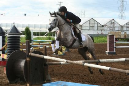 Good Shady et moi concours 2011