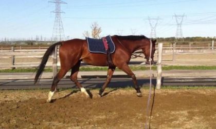 Beau coco tout relax! (l)