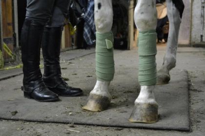 Photo concept de cheval a 5 pattes :)