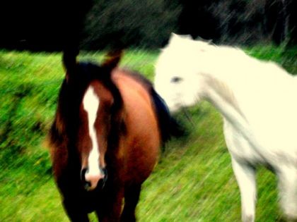 ma grosse et le choupinou de fanny :D 