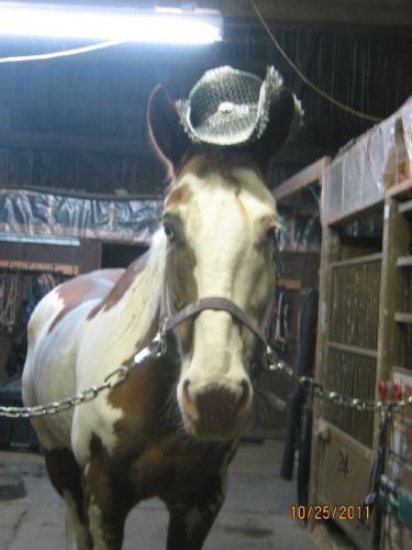 Mon grand déguisé en Cowboy hihi!
