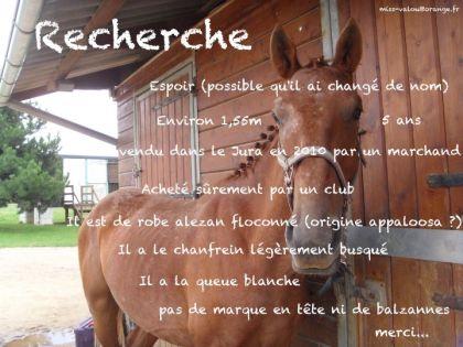 photo par VaVa92 Décidée à le retrouver quoi qu'il arrive...