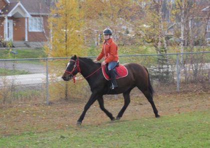 A la rando avec ma soeur et une ami. Un peu de trot :) J'ADORE...