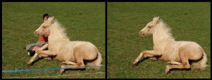 retouche photoshop quand j'ai du temps a tuer :)