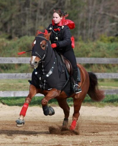 YaHoUUU! Sur ma jument au gymkhana amateur déguiser, 29 oct....