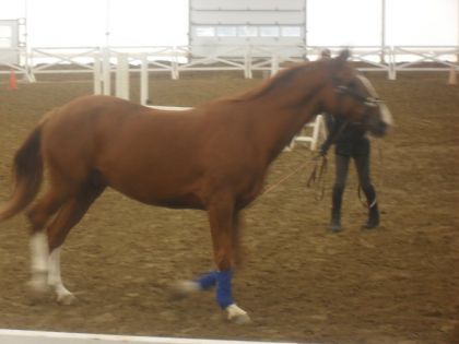 Belle shape mon tit-homme :P