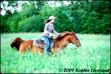 Vieille photo d'un moment de bonheur à l'état pur!