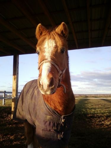 Tim vous dit un beau bonjour :)