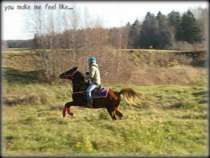 Ma cousine Marily (mawy26 sur le site) & son cheval Legacy en...
