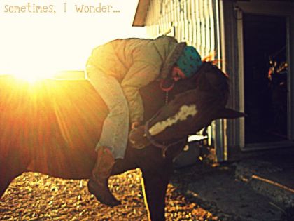 petit moment de tendresse entre ma cousine et son cheval 