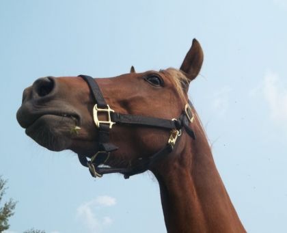 Prince<3