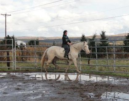 Débourrage de Savannah, premier trot en selle! Je trouve cette...