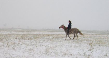La neige est venue nous rendre visite le 12Nov. à Mt-laurier :D...