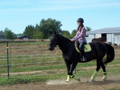 photo par Manitou