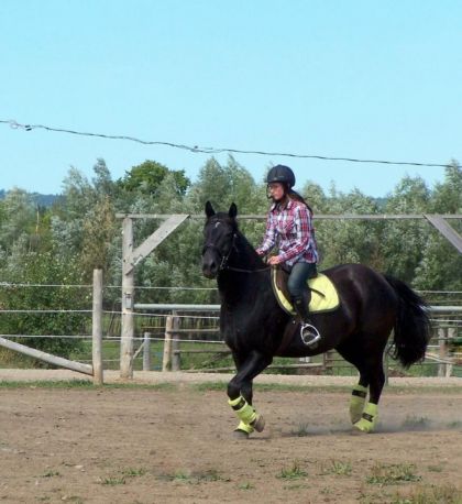 photo par Manitou